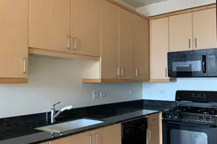 330 W Grand Ave, Chicago, IL 60654 - Photo 2