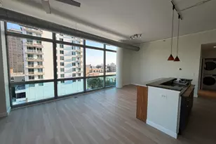 1819 S Michigan Ave, Chicago, IL 60616 - Photo 4