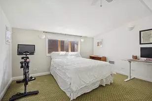 1065 N Marshfield Ave, Chicago, IL 60622 - Photo 26