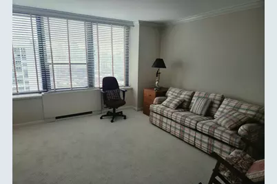 1560 N Sandburg Terrace #2901J, Chicago, IL 60610 - Photo 22