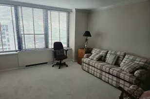 1560 N Sandburg Terrace, Chicago, IL 60610 - Photo 22