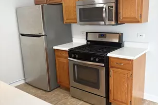 227 Brett Cir, Wauconda, IL 60084 - Photo 10
