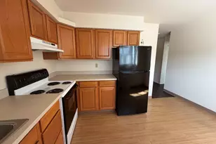 56 1/2 Main St, Oswego, IL 60543 - Photo 4