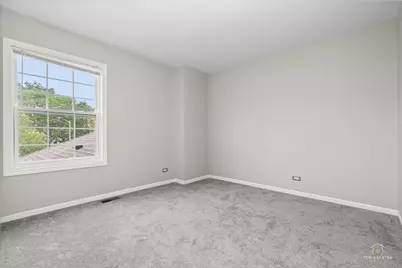 325 Odlum Court, Schaumburg, IL 60194 - Photo 22