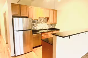 1645 W Ogden Ave, Chicago, IL 60612 - Photo 4
