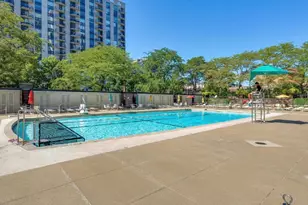 88 W Schiller St, Chicago, IL 60610 - Photo 20