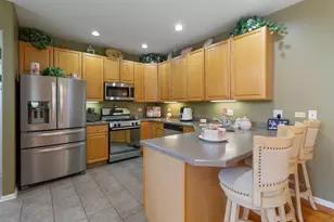 9237 Waterfall Glen Blvd, Darien, IL 60561 - Photo 10