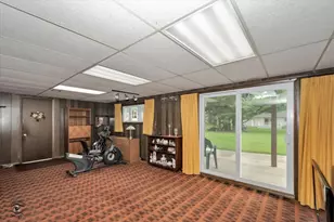 713 Oak Park Ave, Beecher, IL 60401 - Photo 22