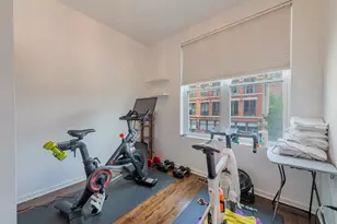 419 W Grand Ave, Chicago, IL 60654 - Photo 20