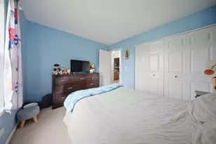 645 Spicebush Ln, Aurora, IL 60504 - Photo 22