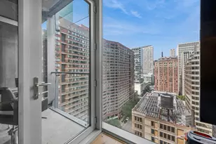 600 N Fairbanks Ct, Chicago, IL 60611 - Photo 20