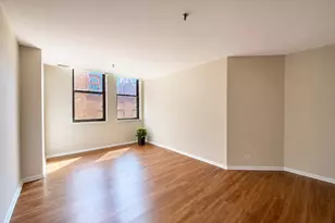 780 S Federal St, Chicago, IL 60605 - Photo 4