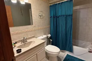 6313 S Oak Park Ave, Chicago, IL 60638 - Photo 14