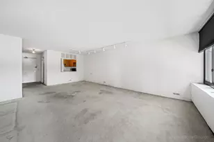 1555 N Sandburg Terrace, Chicago, IL 60610 - Photo 6
