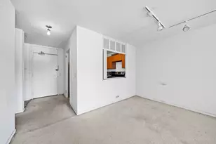 1555 N Sandburg Terrace, Chicago, IL 60610 - Photo 10