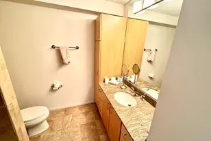 9725 Woods Dr, Skokie, IL 60077 - Photo 14