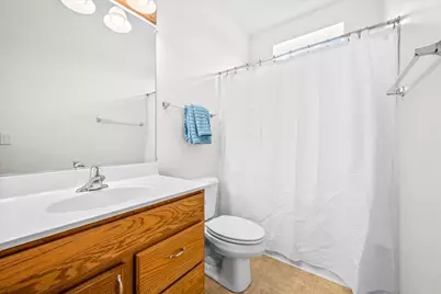 2905 Carousel Court, Grayslake, IL 60030 - Photo 20