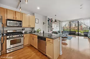 859 W Erie St, Chicago, IL 60642 - Photo 10