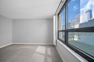 401 E Ontario St, Chicago, IL 60611 - Photo 14