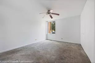6004 E Lake Dr, Lisle, IL 60532 - Photo 10