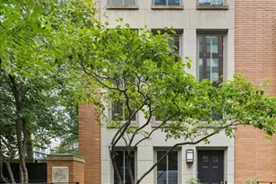 447 N McClurg Ct, Chicago, IL 60611 - Photo 2