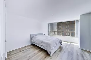 110 E Delaware Pl, Chicago, IL 60611 - Photo 14