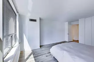 110 E Delaware Pl, Chicago, IL 60611 - Photo 16