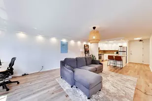 110 E Delaware Pl, Chicago, IL 60611 - Photo 10