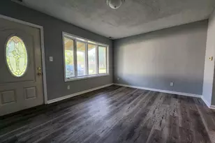 113 N Cambria St, Braceville, IL 60407 - Photo 2