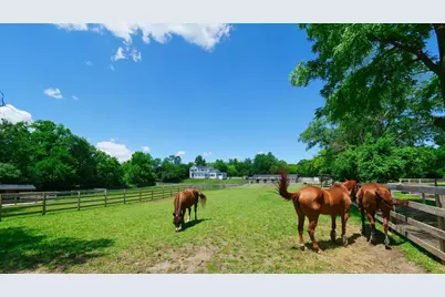 708 S Rose Farm Road, Woodstock, IL 60098 - Photo 80