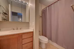 222 E Pearson St, Chicago, IL 60611 - Photo 20