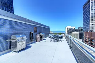 222 E Pearson St, Chicago, IL 60611 - Photo 28