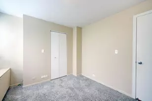 222 E Pearson St, Chicago, IL 60611 - Photo 22