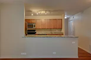 222 E Pearson St, Chicago, IL 60611 - Photo 8