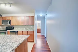 222 E Pearson St, Chicago, IL 60611 - Photo 4
