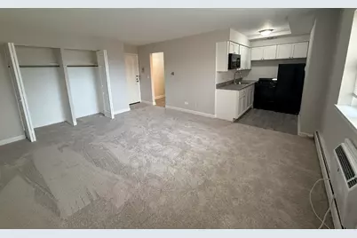 3001 Thatcher Avenue #5L, River Grove, IL 60171 - Photo 2