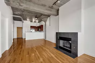 1071 W 15th St, Chicago, IL 60608 - Photo 10