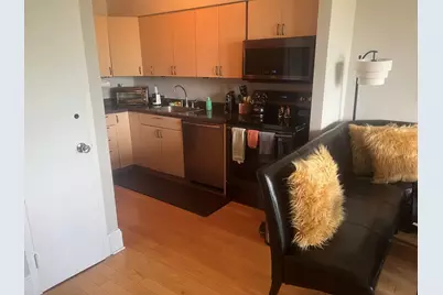 1550 N Lake Shore Drive #3E, Chicago, IL 60610 - Photo 10