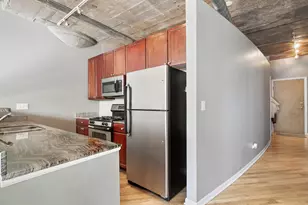 1070 W 15th St, Chicago, IL 60608 - Photo 8