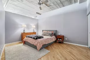 1070 W 15th St, Chicago, IL 60608 - Photo 10