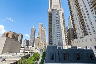 9 W Walton St, Chicago, IL 60610 - Photo 38