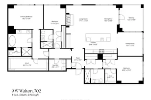 9 W Walton St, Chicago, IL 60610 - Photo 40