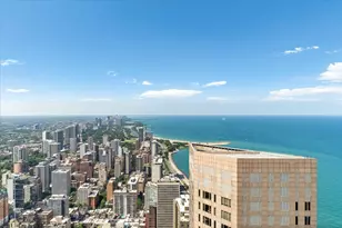 132 E Delaware Pl, Chicago, IL 60611 - Photo 6