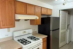 2734 S Wentworth Ave, Chicago, IL 60616 - Photo 6