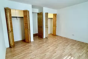 10037 S Walnut Terrace, Palos Hills, IL 60465 - Photo 10