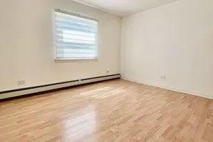 10037 S Walnut Terrace, Palos Hills, IL 60465 - Photo 16