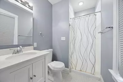 847 N Cuyler Avenue, Oak Park, IL 60302 - Photo 14