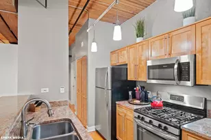 411 W Ontario St, Chicago, IL 60654 - Photo 16