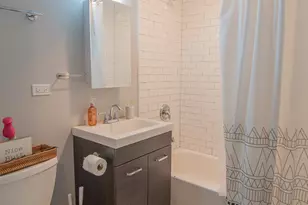 859 N Marshfield Ave, Chicago, IL 60622 - Photo 12