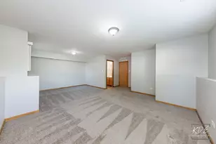 524 Meadow Lily Dr, Joliet, IL 60431 - Photo 18